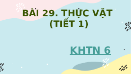 Giáo án điện tử Khoa học tự nhiên 6 bài 29 Chân trời sáng tạo : Thực vật