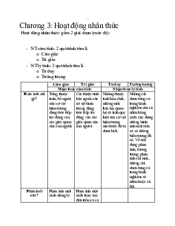 Chương 3: Hoạt động nhận thức | Tâm lí học đại cương