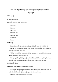 Giải KHTN Lớp 6 Bài 35: Thực hành: Quan sát và phân biệt một số nhóm thực vật | Kết nối tri thức