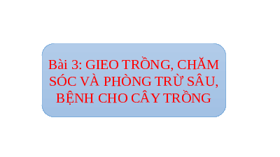 Giáo án điện tử Công nghệ 7 Bài 3 Kết nối tri thức: Gieo trồng, chăm sóc và phòng trừ sâu, bệnh cho cây trồng