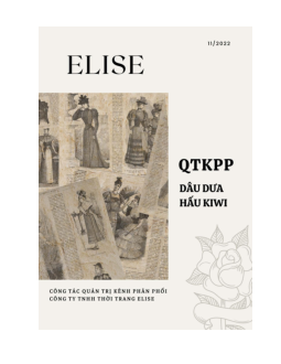 Phân tích công tác quản trị kênh phân phối của công ty trách nhiệm hữu hạn thời trang ELISE