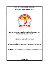 Giải Pháp Bảo Vệ Quyền Con Người Tại Việt Nam - Tiểu Luận Lý Luận Pháp Luật | Môn Lý luận pháp luật về quyền con người - Học viện Hành chính Quốc gia