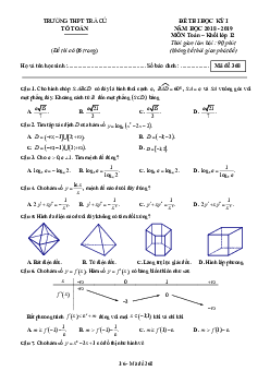 Đề thi học kỳ 1 Toán 12 năm học 2018 – 2019 trường THPT Trà Cú – Trà Vinh