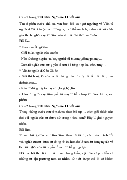 Soạn bài Thực hành tiếng Việt trang 110 | Ngữ văn 11 Kết nối tri thức