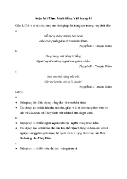 Thực hành tiếng Việt trang 45 | Soạn văn 11 Chân trời sáng tạo
