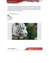 Bring Back the Big Cats: IELTS Reading Practice and Answers