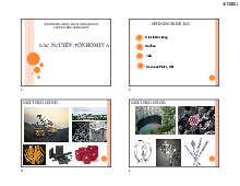 Các nguyên tố nhóm IV A | Bài giảng môn Hóa vôn cơ | Đại học Bách khoa hà nội