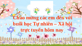 Giáo án điện tử Tự nhiên và xã hội 1 bài 16 Chân trời sáng tạo : Cây và con vật quanh ta