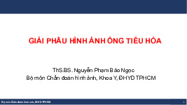 Bài giảng Giải phẫu hình ảnh ống tiêu hóa môn Chẩn đoán hình ảnh