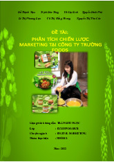 Phân Tích Chiến Lược Marketing Doanh Nghiệp Trường Foods | Môn Chiến lược maketing - Đại học Tài nguyên và Môi trường Hà Nội