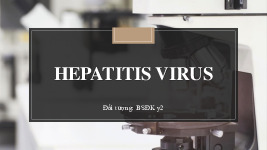 Các loại virus gây viêm gan ở người