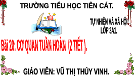 Giáo án điện tử TN&XH 3 Bài 20 Kết nối tri thức: Cơ quan tuần hoàn