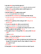 Câu hỏi ôn tập môn Nghiên cứu thị Trường | Đại học Công nghiệp Thực phẩm Thành phố Hồ Chí Minh