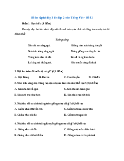 Phiếu bài tập ôn hè lớp 1 lên lớp 2 năm 2024 môn Tiếng Việt - Đề 11