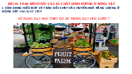 Giáo án điện tử Khoa học tự nhiên 7 bài 30 Chân trời sáng tạo : Trao đổi nước và các chất dinh dưỡng ở động vật