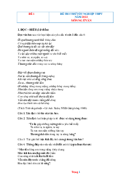 Đề thi thử tốt nghiệp THPT 2022 môn Văn (có lời giải)- Đề 1