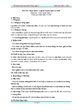 Giáo án Bài 16: Thực hành. Lập kế hoạch nuôi cá cảnh Công nghệ 7 | Kết nối tri thức