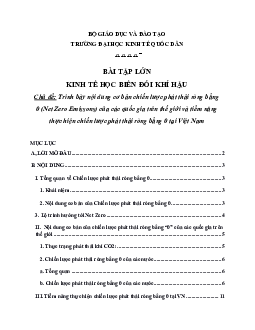 Bài tập lớn Kinh tế học biến đổi khí hậu đề tài: Trình bày nội dung cơ bản chiến lược phát thải ròng bằng 0 (Net Zero Emissons) của các quốc gia trên thế giới và tiềm năng thực hiện chiến lược phát thải ròng bằng 0 tại Việt Nam