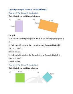 Giải SGK Toán lớp 3 trang 88, 89 Diện tích hình chữ nhật, diện tích hình vuông | Cánh diều