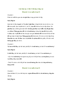 Giải Sinh học 11 Bài 9: Hô hấp ở động vật | Kết nối tri thức