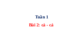 Giáo án điện tử Tiếng việt 1 bài 2 Cánh diều: Cà, cá