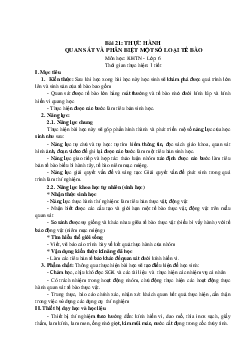 Giáo án Khoa học tự nhiên 6 sách Kết nối tri thức với cuộc sống Bài 21