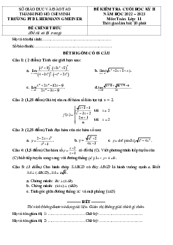 Đề cuối học kỳ 2 Toán 11 năm 2022 – 2023 trường PTDL Hermann Gmeiner – TP HCM