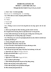 Đề thi giữa học kỳ 1 môn Tin học lớp 9 năm học 2024 - 2025 | Bộ sách Chân trời sáng tạo