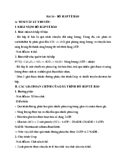 Tóm tắt lý thuyết Sinh học 10 bài 16: Hô hấp tế bào