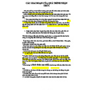 Các giai đoạn nhận thức và vấn đề chân lý trong triết học