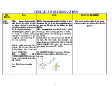 Quá trình Sinh học phân tử: DNA và RNA | Tóm tắt sinh học phân tử