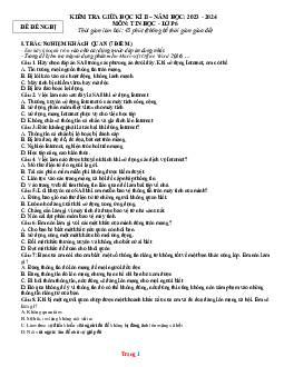 Đề kiểm tra giữa học kỳ 2 Tin 6 cánh diều (có đáp án ma trận đặc tả)