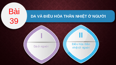 Giáo án điện tử Khoa học tự nhiên 8 Bài 39 Kết nối tri thức: Da và điều hòa thân nhiệt ở người