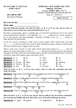 Đề thi học kì 2 môn Tiếng Anh lớp 12 tỉnh Đồng Tháp năm 2021 - 2022