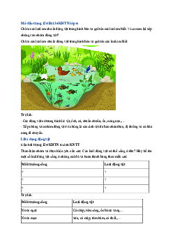 Giải Khoa học tự nhiên lớp 6 - Bài 36: Động vật | Kết nối tri thức