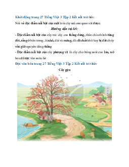 Giải SGK Tiếng Việt 3 trang 27, 28 Bài 6: Cây gạo - Phần đọc | Kết nối tri thức