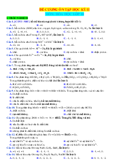 Đề cương ôn tập HKII hóa 10 chân trời sáng tạo