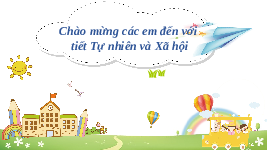 Giáo án điện tử Tự nhiên và Xã hội 2 Bài 3 Kết nối tri thức: Phòng tránh ngộ độc khi ở nhà