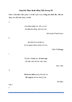 Soạn bài: Thực hành tiếng Việt trang 43 Ngữ Văn 8 | Cánh diều