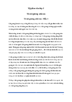 Tả cái gương nhà em (4 mẫu) | Tập làm văn lớp 5