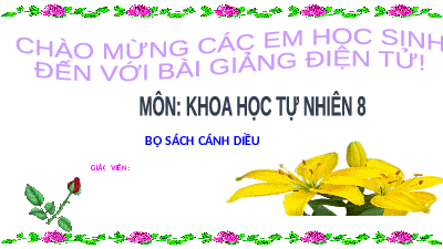 Giáo án điện tử Khoa học tự nhiên 8 Bài 12 Cánh diều: Muối