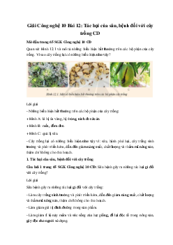 Giải Công nghệ 10 Bài 12: Tác hại của sâu, bệnh đối với cây trồng CD