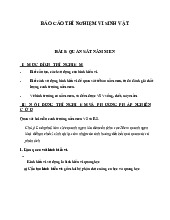 Báo cáo thí nghiệm Quan sát nấm men môn Vi sinh | Trường Đại học Kinh Doanh và Công Nghệ Hà Nội