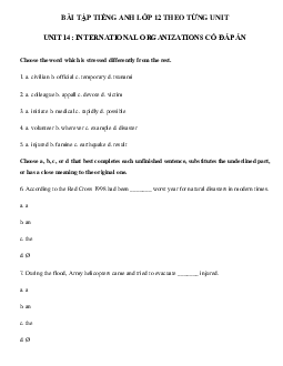 Bài tập tiếng Anh lớp 12 Unit 14 International organizations có đáp án