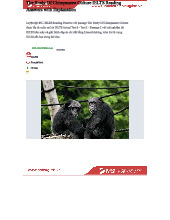 The Study of Chimpanzee Culture: IELTS Reading Insights & Analysis