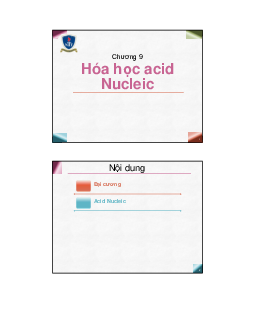 Bài giảng môn Hóa đại cương về "Cấu trúc Nucleprotein và Nucleic acid"