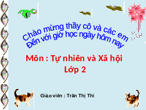 Giáo án điện tử Tự nhiên và xã hội 2 Bài 11 Cánh diều: Môi trường sống của thực vật và động vật