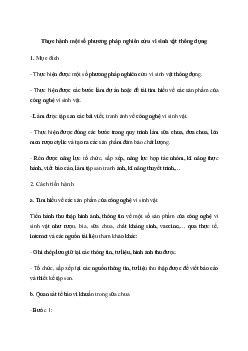 Sinh học 10 Bài 23: Thực hành một số phương pháp nghiên cứu vi sinh vật thông dụng - Kết Nối Tri Thức