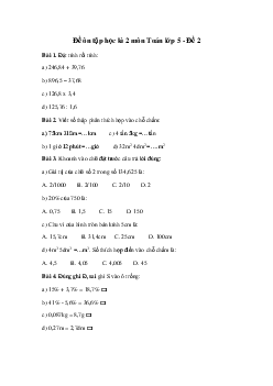 Đề thi học kì 2 môn Toán lớp 5 năm 2024 - Đề 2