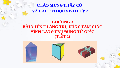 Bài giảng điện tử môn Toán 7 Chương 3 Bài 3: Hình lăng trụ đứng tam giác - Hình lăng trụ đứng tứ giác | Chân trời sáng tạo